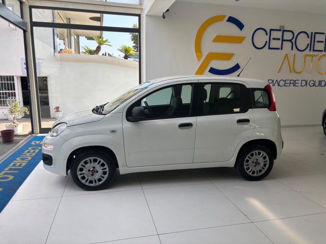 FIAT Panda usata, con Antifurto