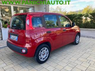 FIAT Panda usata, con Cronologia tagliandi