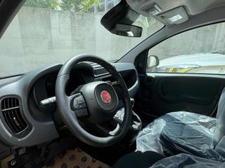 FIAT Panda usata, con Controllo trazione