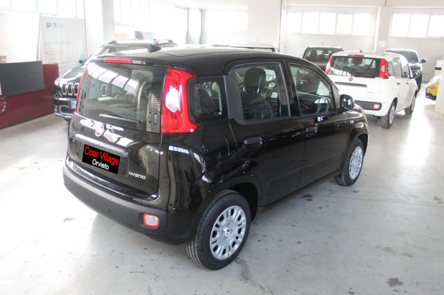 FIAT Panda usata, con Alzacristalli elettrici