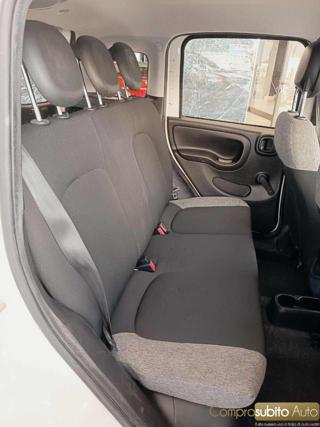 FIAT Panda usata 16