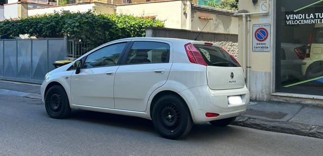 FIAT Punto usata 10
