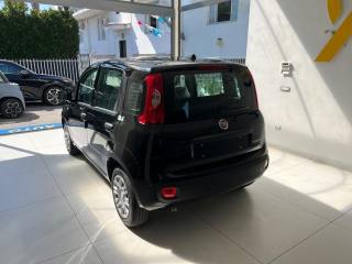 FIAT Panda usata, con Controllo elettronico della corsia