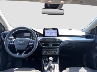 FORD Focus usata 11
