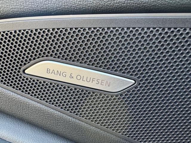 AUDI Q6 e-tron usata, con Interni in pelle