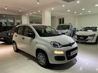 FIAT Panda usata, con Airbag Passeggero