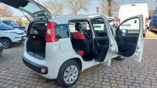 FIAT Panda usata 22