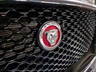 JAGUAR F-Pace usata, con Servosterzo