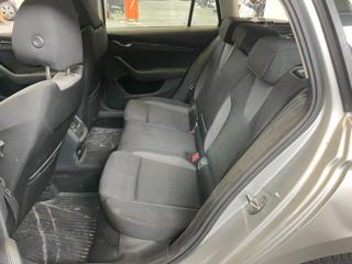 SKODA Octavia usata, con Fendinebbia