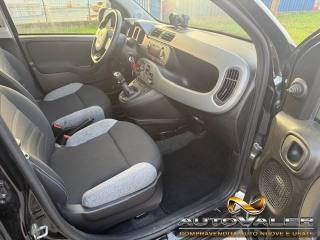 FIAT Panda usata, con Controllo trazione
