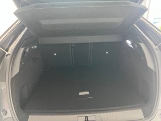PEUGEOT 3008 usata, con Sensore di pioggia