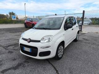 FIAT Panda usata 2