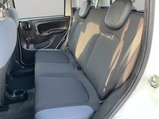 FIAT Panda usata, con Servosterzo