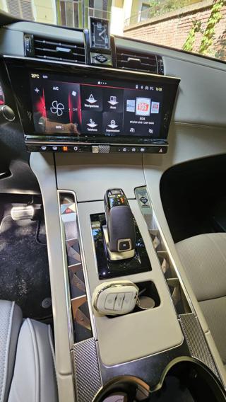 DS AUTOMOBILES DS 7 usata, con Controllo trazione
