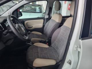 FIAT Panda usata, con Cerchi in lega