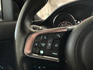 JAGUAR E-Pace usata, con Cruise Control