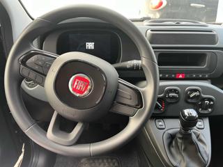FIAT Panda usata, con Antifurto