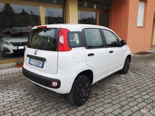 FIAT Panda usata, con Climatizzatore