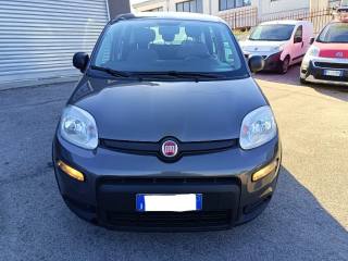 FIAT Panda usata 2