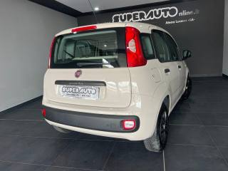 FIAT Panda usata, con Airbag Passeggero