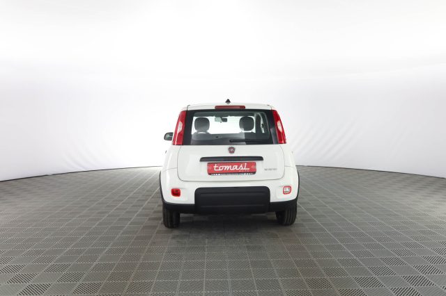 FIAT Panda usata 4