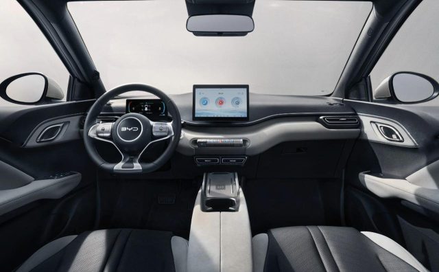 BYD Dolphin Surf usata, con Alzacristalli elettrici