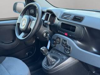 FIAT Panda usata 9