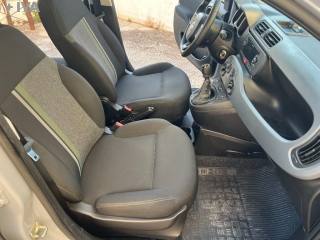 FIAT Panda usata 15