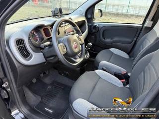 FIAT Panda usata, con Immobilizzatore elettronico