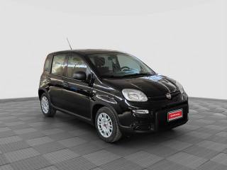 FIAT Panda usata 6