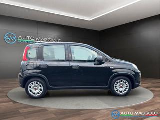 FIAT Panda usata, con Alzacristalli elettrici