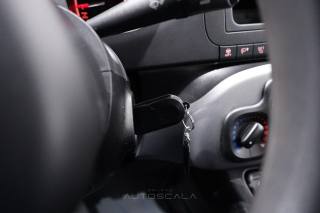 FIAT New Panda usata 16