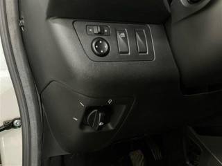 DACIA Spring usata 25