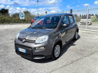 FIAT Panda usata 2
