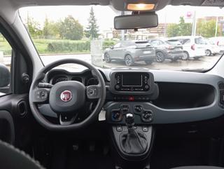 FIAT Panda usata, con Chiusura centralizzata