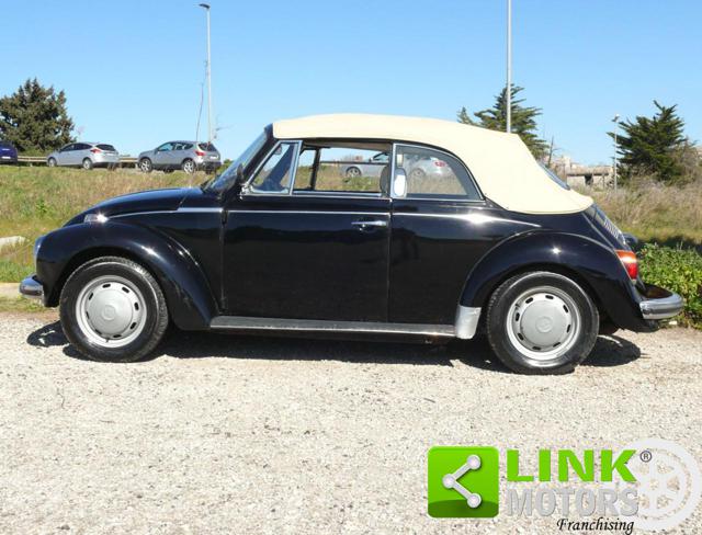 VOLKSWAGEN Maggiolone usata 7