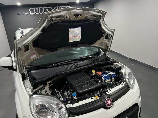 FIAT Panda usata, con Fendinebbia