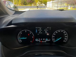 FORD Tourneo Connect usata, con Fendinebbia