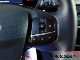 FORD Tourneo Connect usata, con Streaming musicale integrato