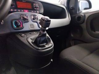 FIAT Panda usata, con Cronologia tagliandi