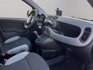 FIAT Panda usata, con Controllo trazione