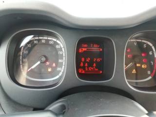 FIAT Panda usata 12