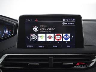 PEUGEOT 3008 usata 13