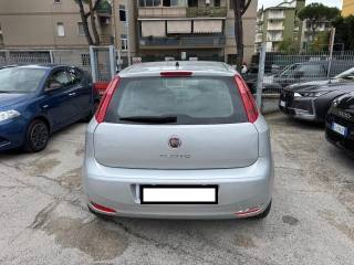 FIAT Punto usata, con Chiusura centralizzata