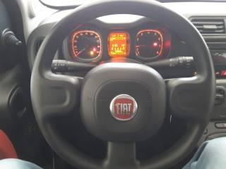FIAT Panda usata, con Climatizzatore