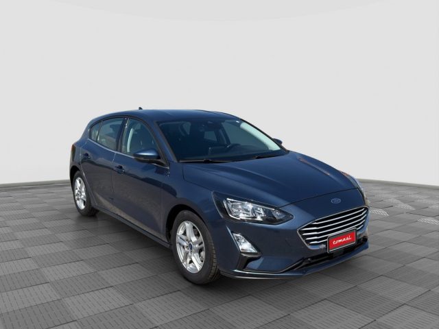 FORD Focus usata 6