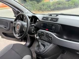 CITROEN C4 Picasso usata 29