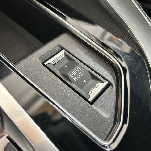 PEUGEOT 3008 usata, con Bracciolo