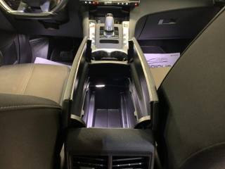 DS AUTOMOBILES DS 7 usata, con Filtro antiparticolato