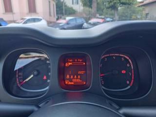 FIAT Panda Cross usata, con Servosterzo